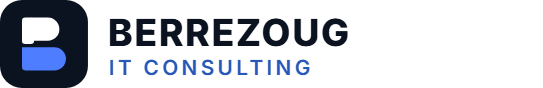 Berrezoug IT Consulting, Lotfi Berrezoug, consultant en systèmes d’information