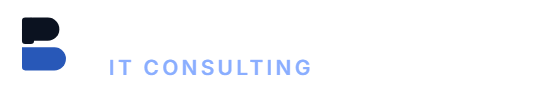 Berrezoug IT Consulting, Lotfi Berrezoug, consultant en systèmes d’information